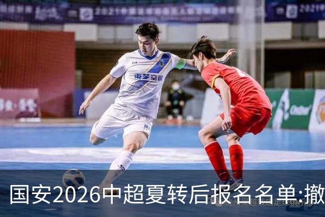 国安2026中超夏转后报名名单:撤下恩科洛洛 补报斯帕吉奇刘邵子洋
